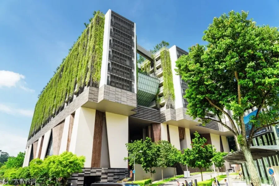 改造胜于新建：绿色建筑的现实之选