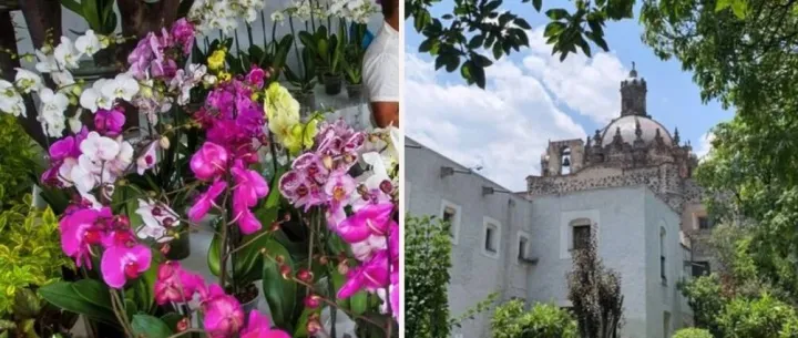 169岁圣安赫尔花市5月登场 47届绘画比赛打头阵