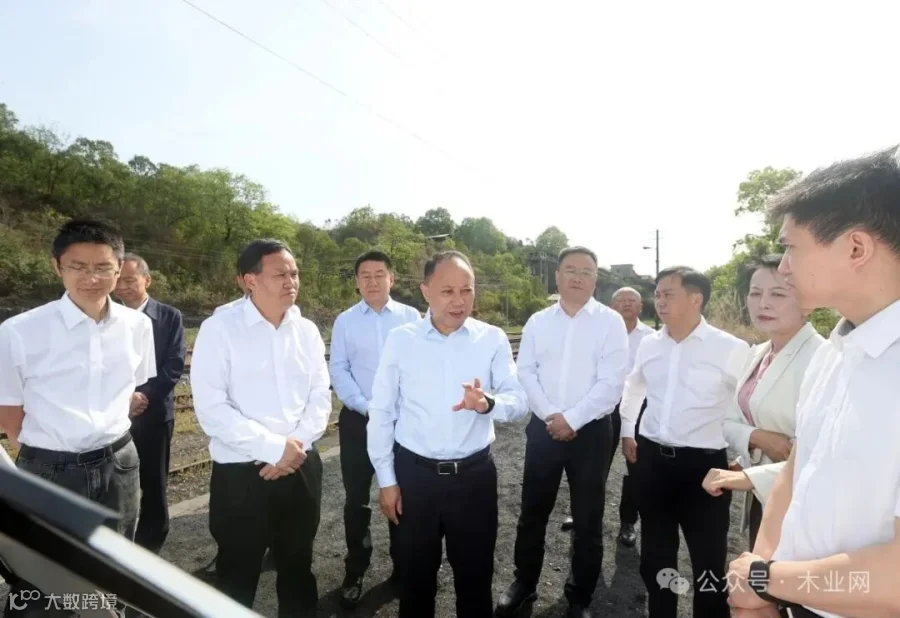 广元昭化区召开绿色家居产业发展工作座谈会