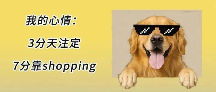11.11，这里有优惠！
