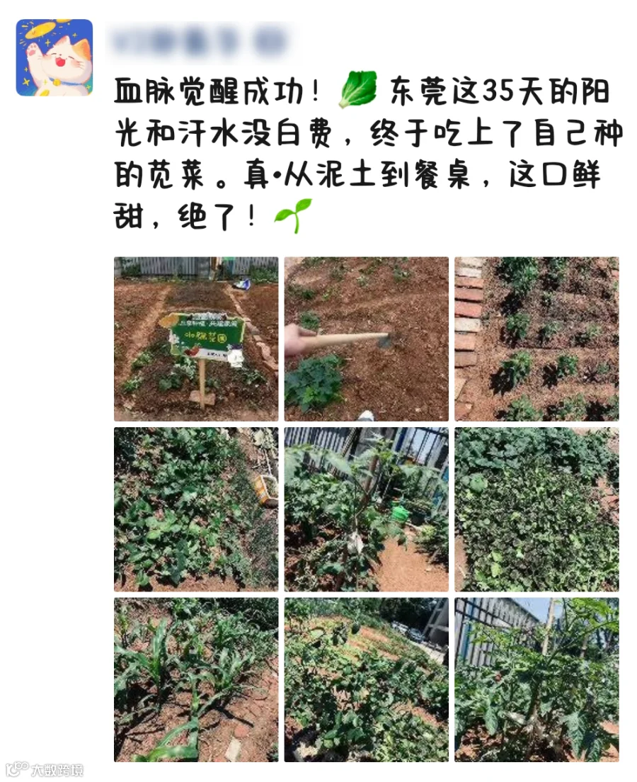微信图片_20260425120736_771_213.png