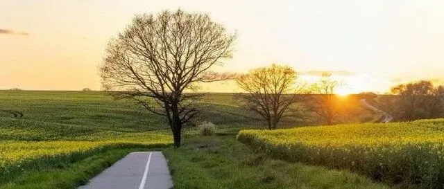 【每日德鲁克】2026年5月2日