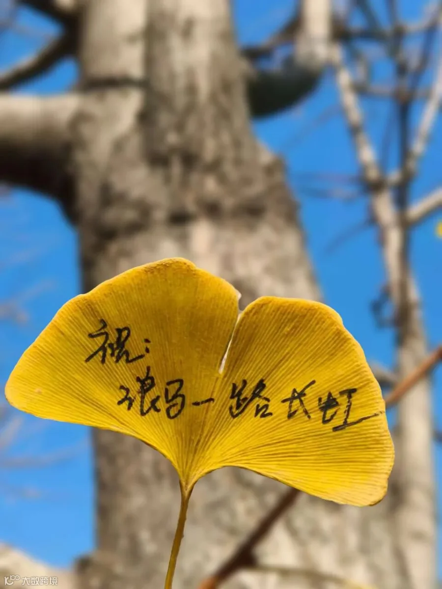 821-成型车间-李洪国-浪马长虹1.jpg
