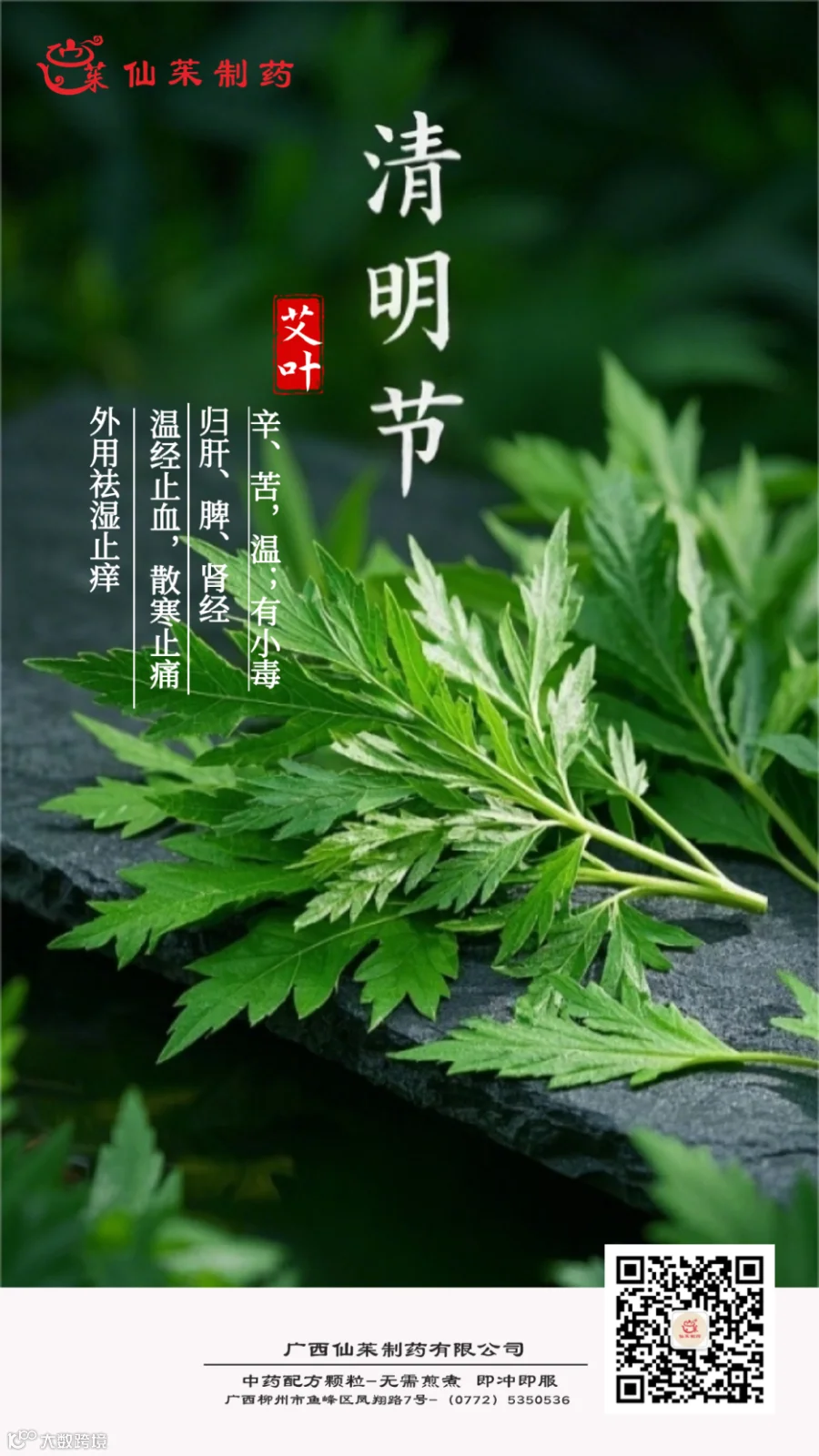 清明中药材 (1)(1).png