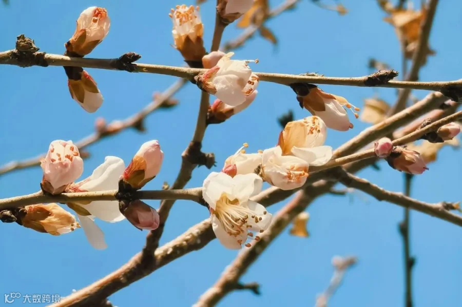 微信图片_20250403171022.jpg