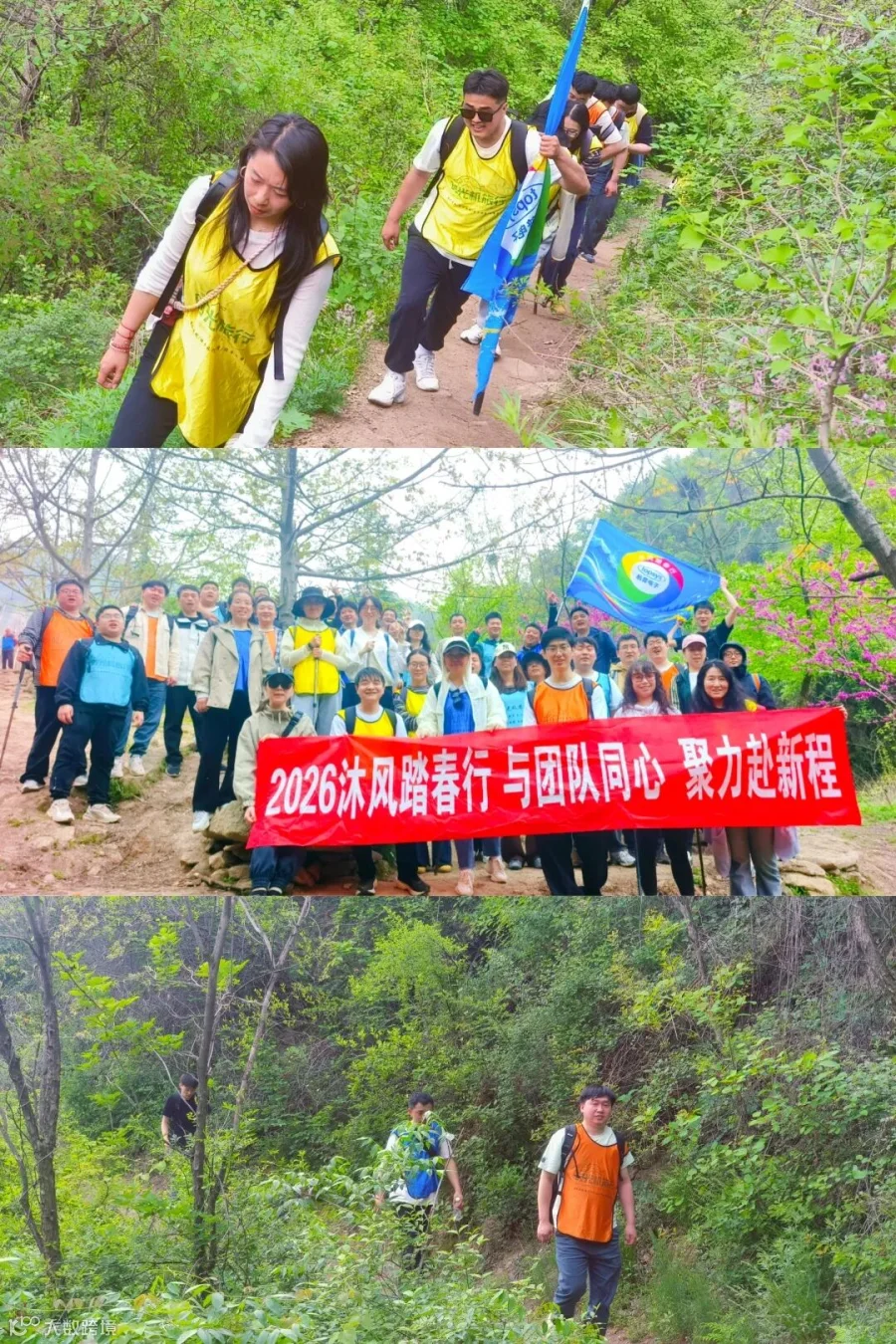 微信图片_20260416121102_117_453.jpg