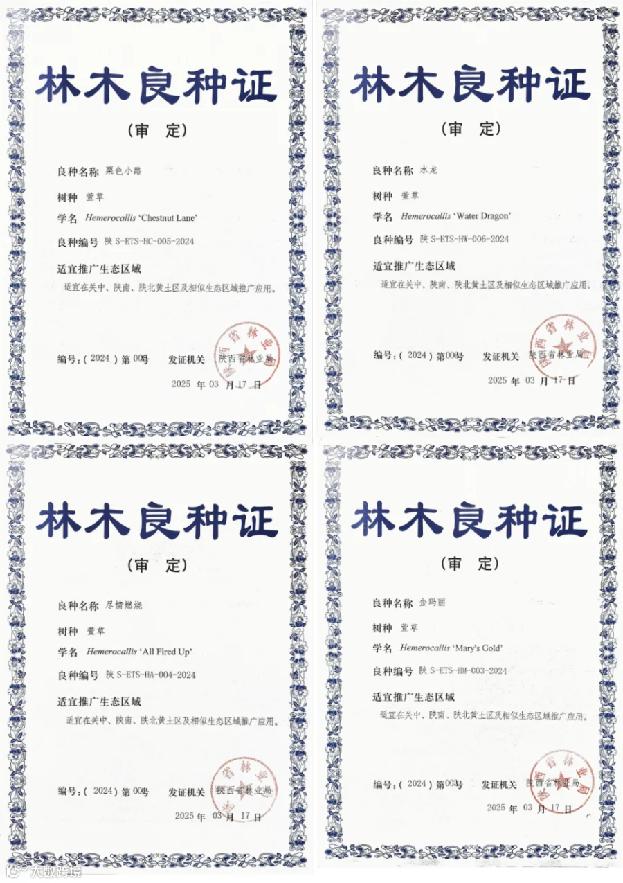 良种证书.png