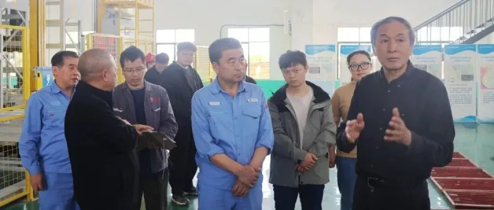 邓军院士团队到水口山考察调研