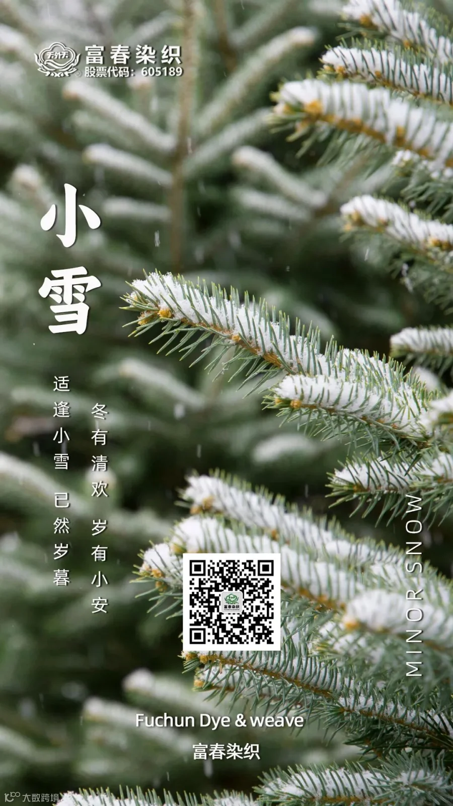 小雪.jpg