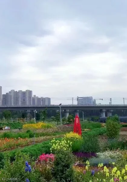 微信图片_20241020170431_副本.jpg
