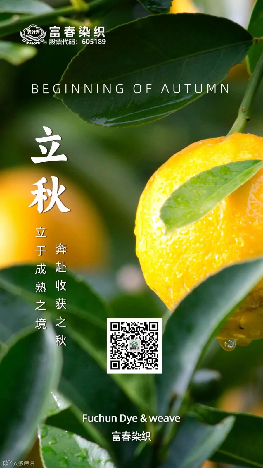 微信图片_20250611151835.jpg