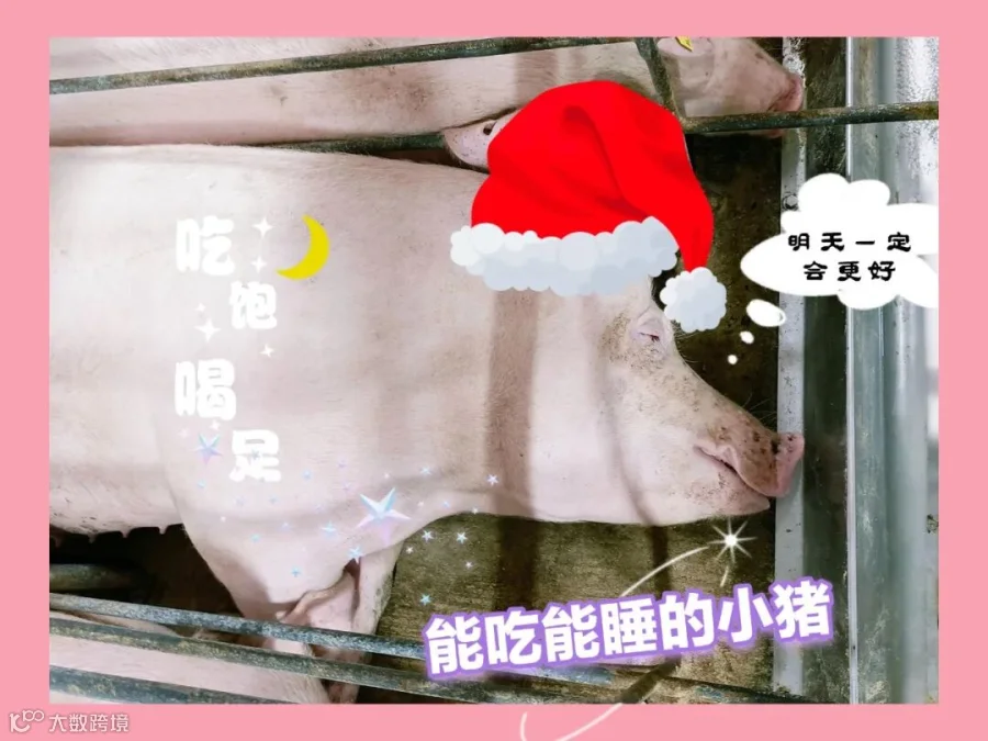 003.20250804李云豪（摄）.jpg