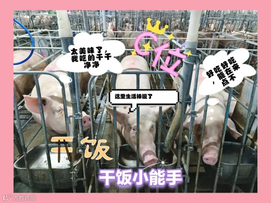 001.20250804李云豪（摄）.jpg