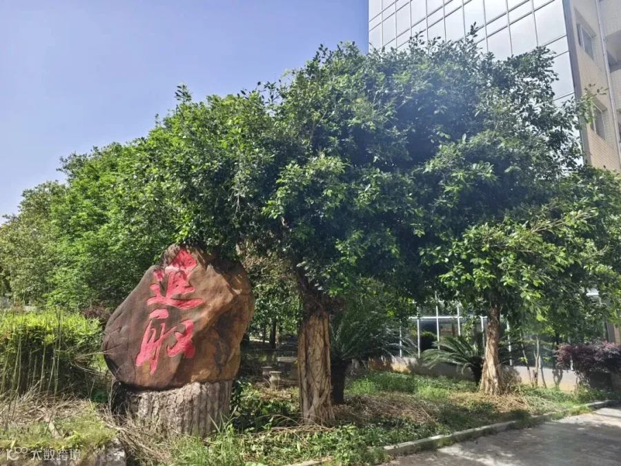 微信图片_20250414151346.jpg