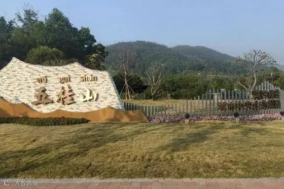 图片 30.png