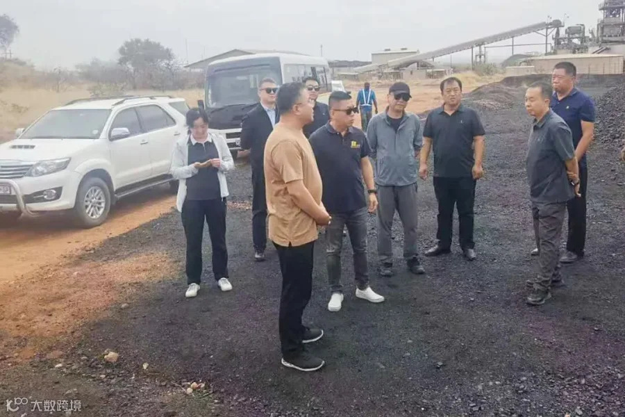 维乐2.jpg