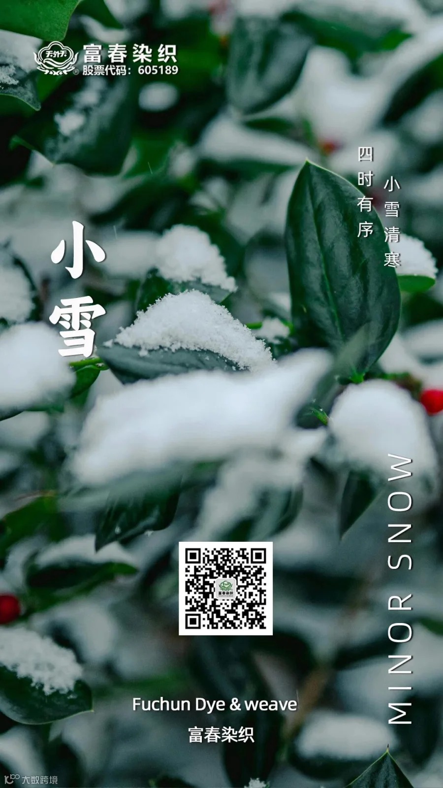 小雪3.jpg