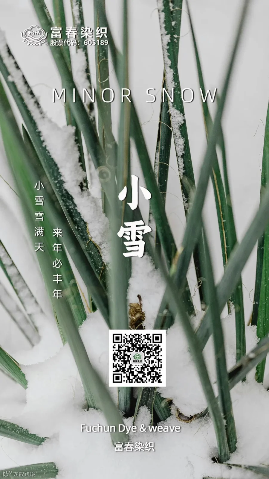 小雪1.jpg