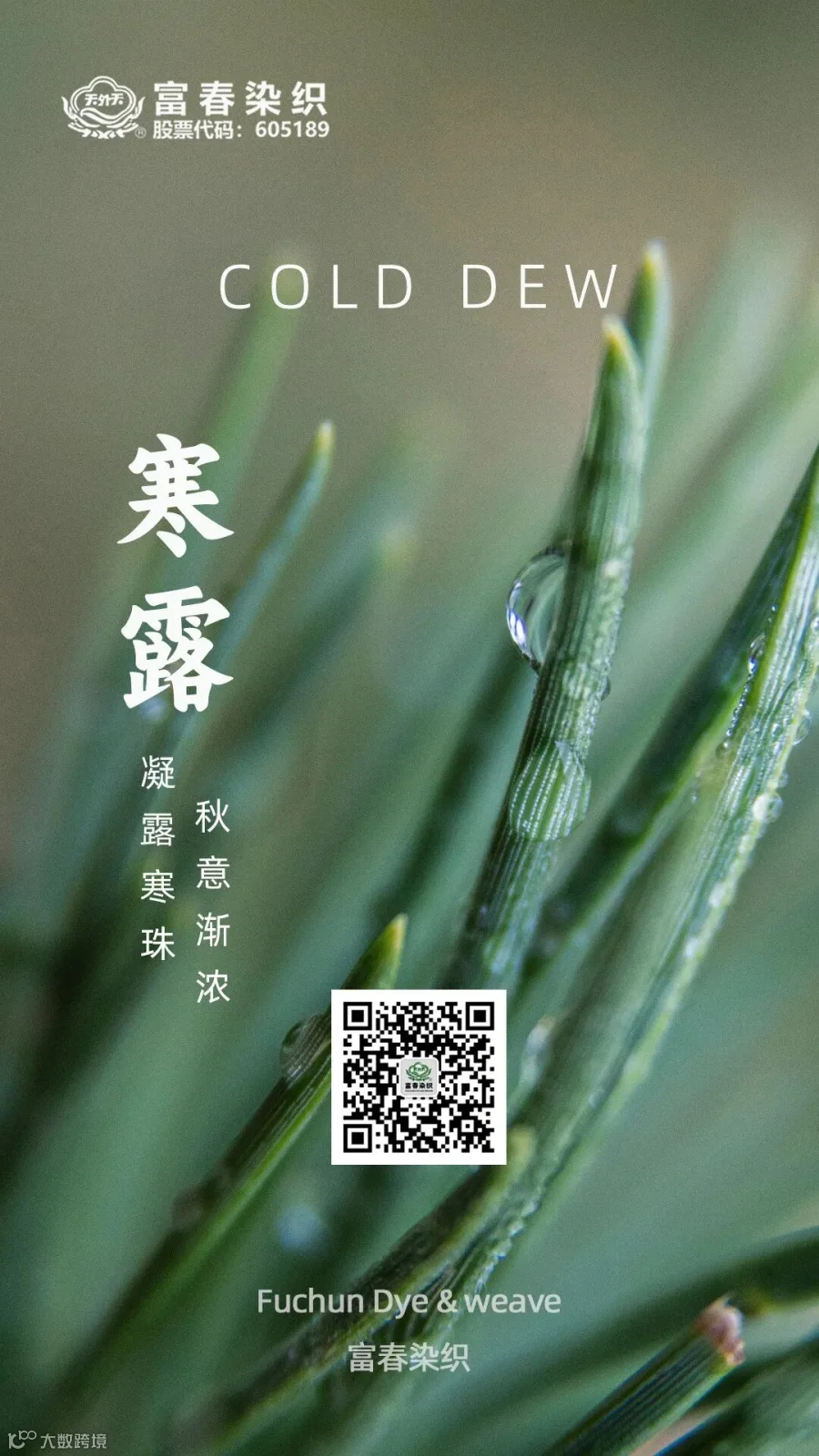 寒露1.jpg