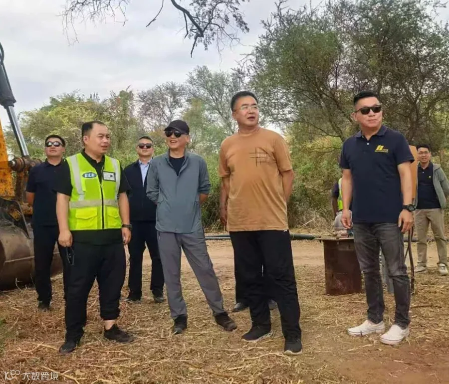 维乐.jpg