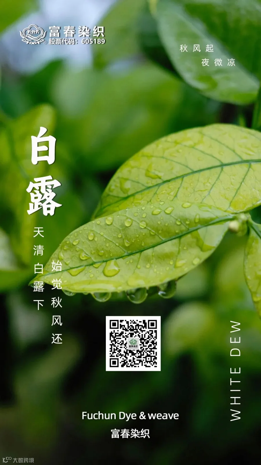 微信图片_20250619140551.jpg