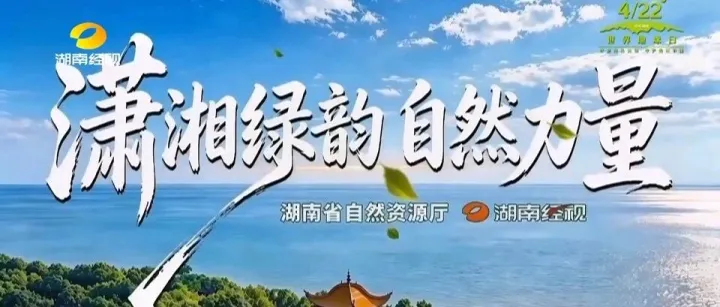 经视点赞！水口山以生态之笔绘就绿水青山新画卷