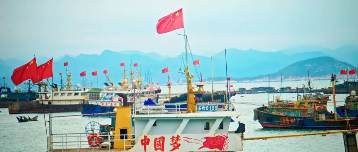 “五心聚力，逐光向上”——中武电商致敬五四青年节