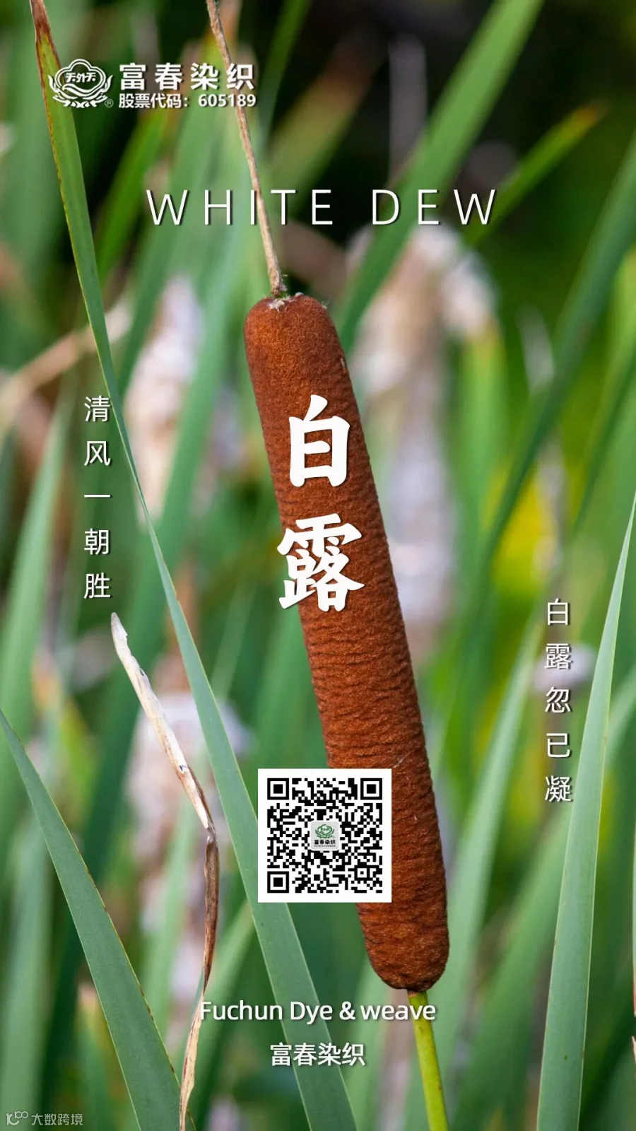 微信图片_20250619140543.jpg