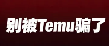 Temu追平亚马逊，中国卖家该怎么选边站？