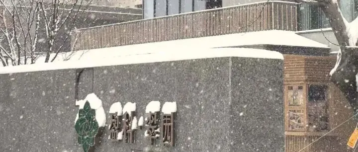 雪落无声，盈科先行
