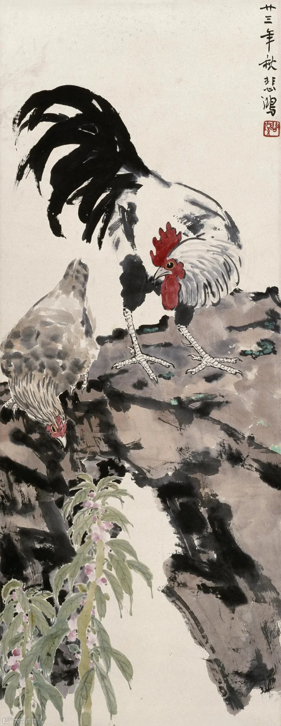 图片