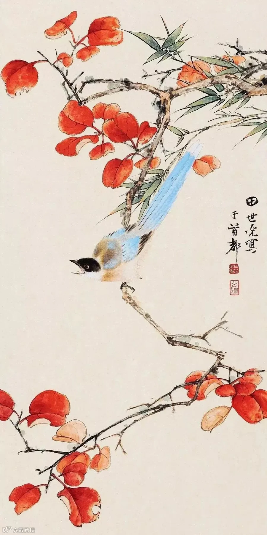 图片