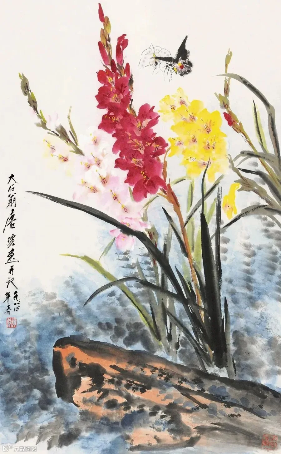 图片