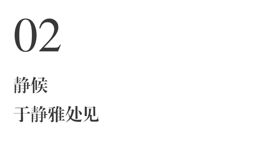 02.png