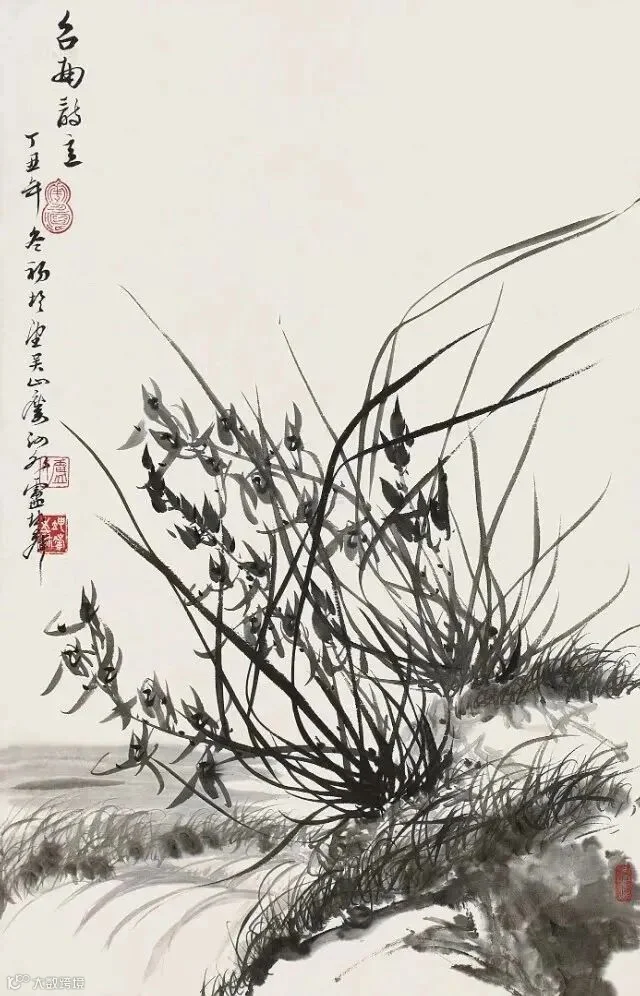 图片