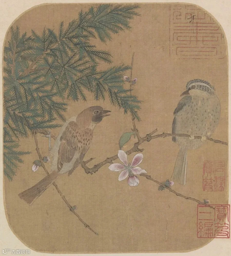图片