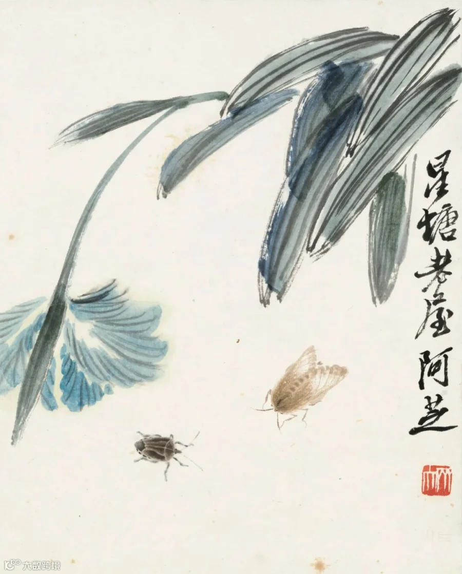 图片