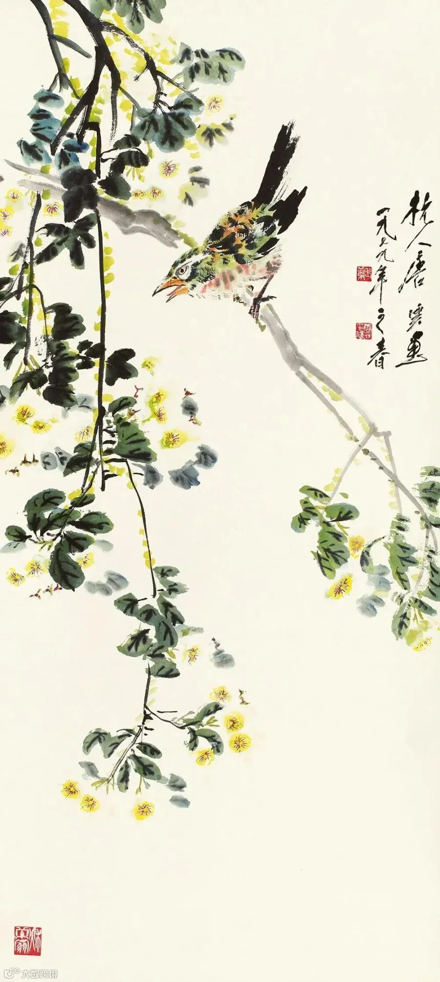 图片