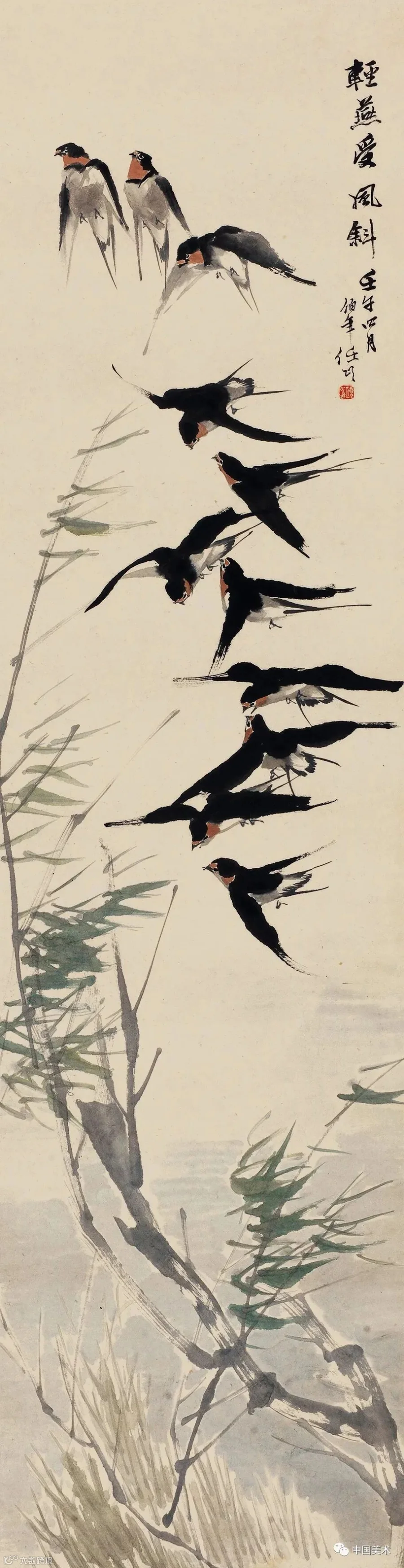 图片