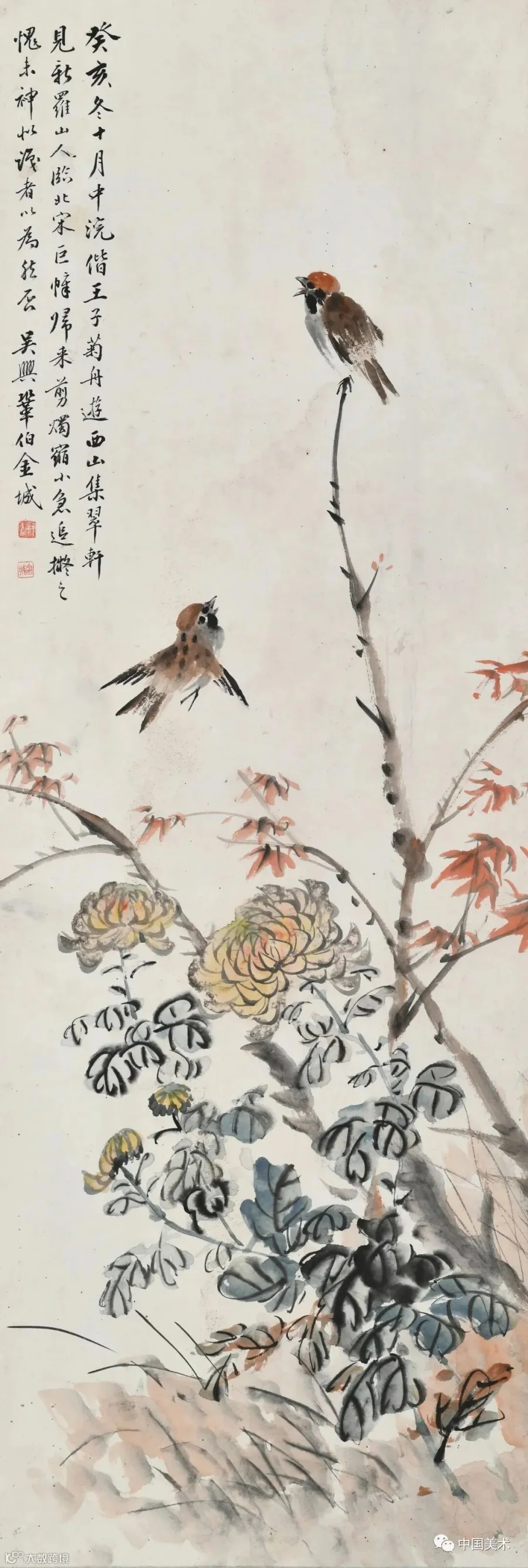 图片