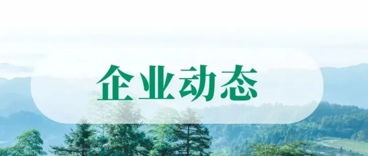 王相军率队到广林新材集团调研并开展安全生产检查