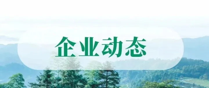 罗掌华到华林公司调研