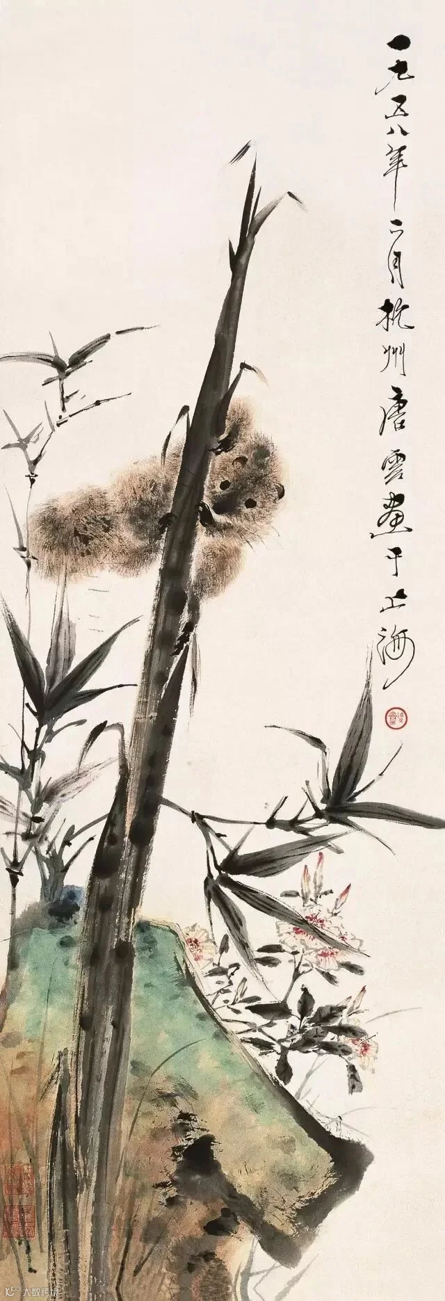 图片
