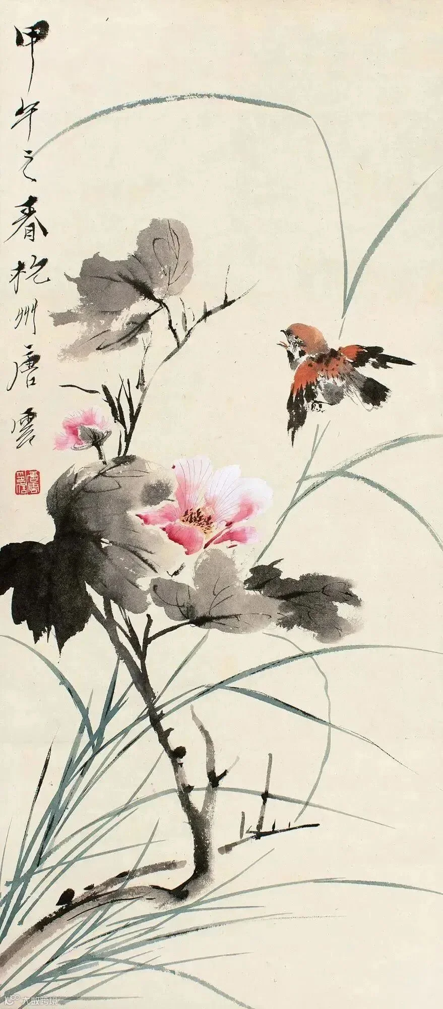 图片