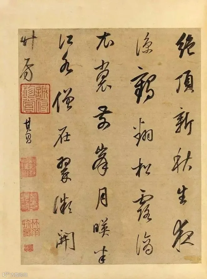 图片