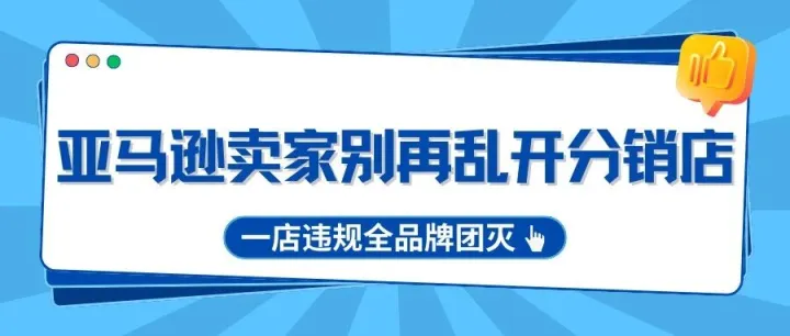 警惕！你的亚马逊小号，正在拖垮整个主品牌