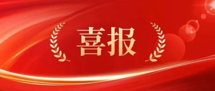 喜报！广林新材集团下属成员企业上思华林公司、崇左广迪公司双双获评2026年广西智能工厂