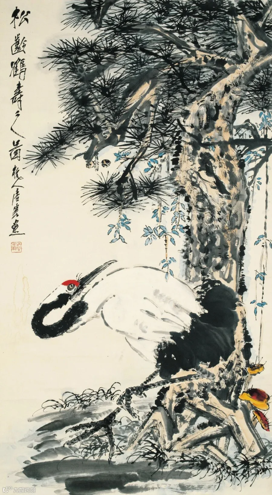 图片