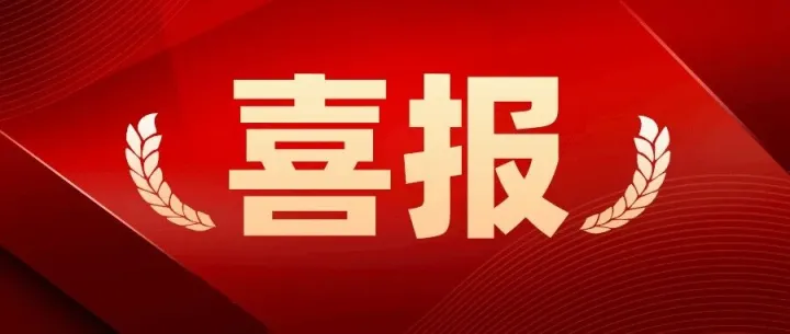 喜报！国投集团喜获多项荣誉！