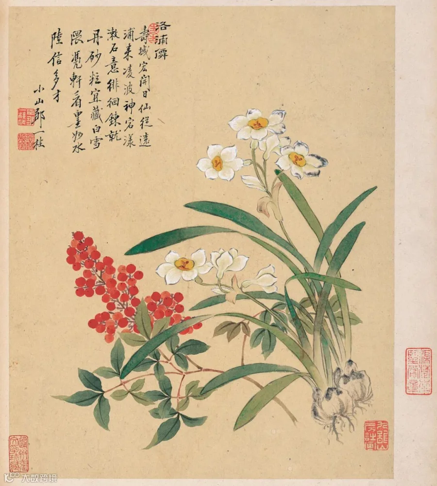 图片